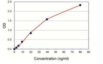 ELISA: SAA ELISA Kit [HRP] [KA0518] - Standard curve
